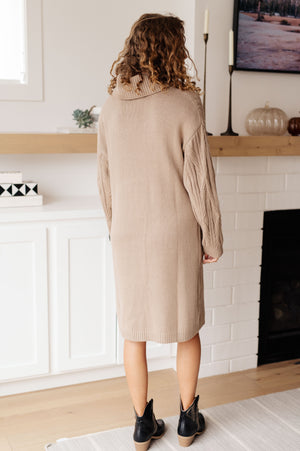 Bundled Beauty Turtleneck Sweater Dress (SM-3X)