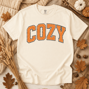 Distressed Cozy Tee - 4 Colors