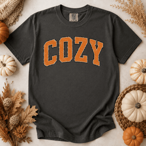 Distressed Cozy Tee - 4 Colors