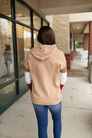 Brown Colorblock Hooded Sweater (SM-XL)
