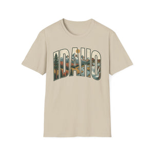 Falling For Idaho Tee - 6 Colors