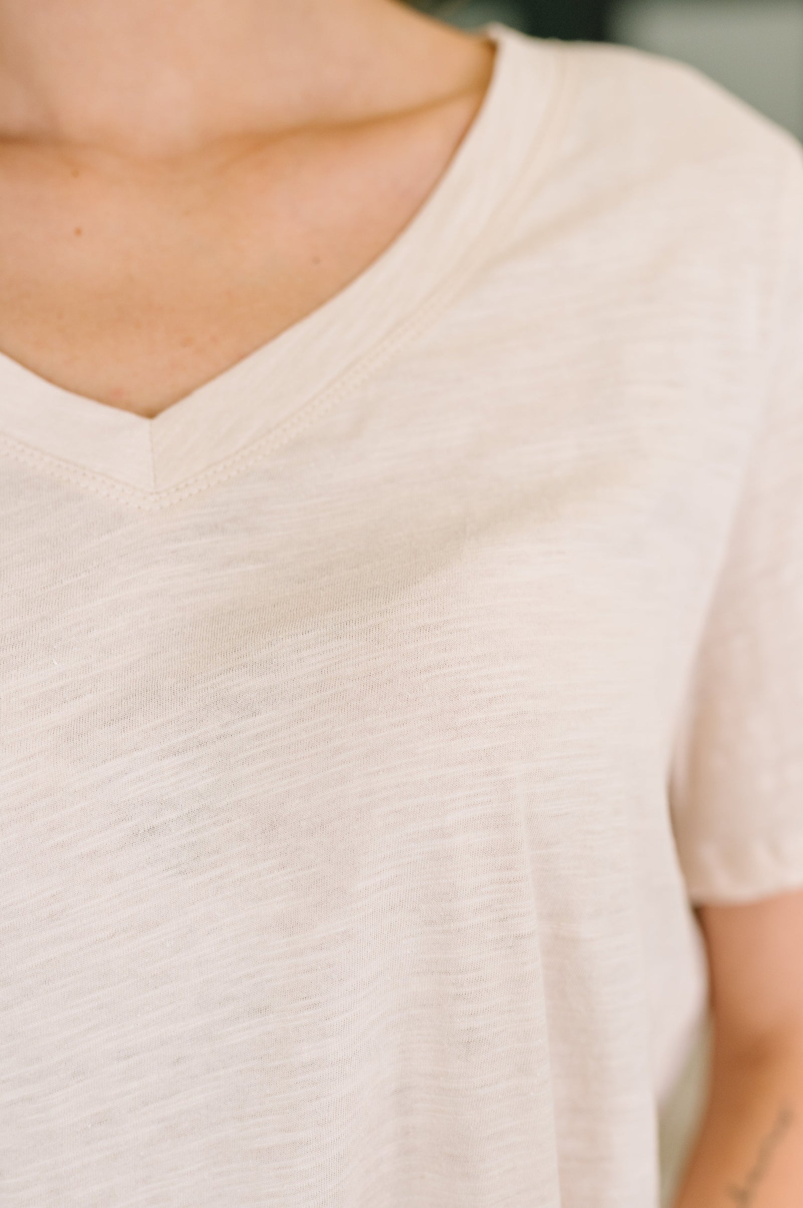 I Don't Have to Choose V-Neck Tee in Oatmeal (SM-3X)
