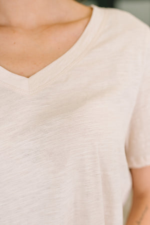 I Don't Have to Choose V-Neck Tee in Oatmeal (SM-3X)