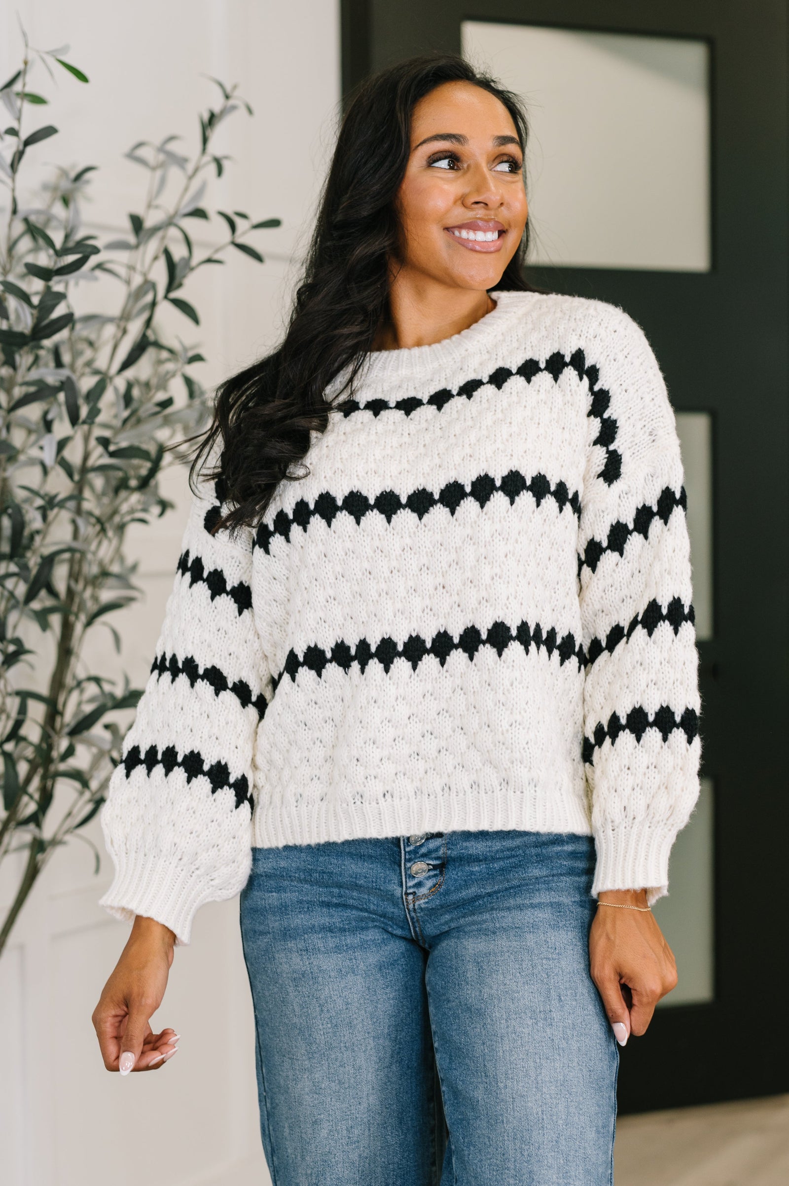 Ivy Lane Textured Sweater in White and Black (SM-3X)