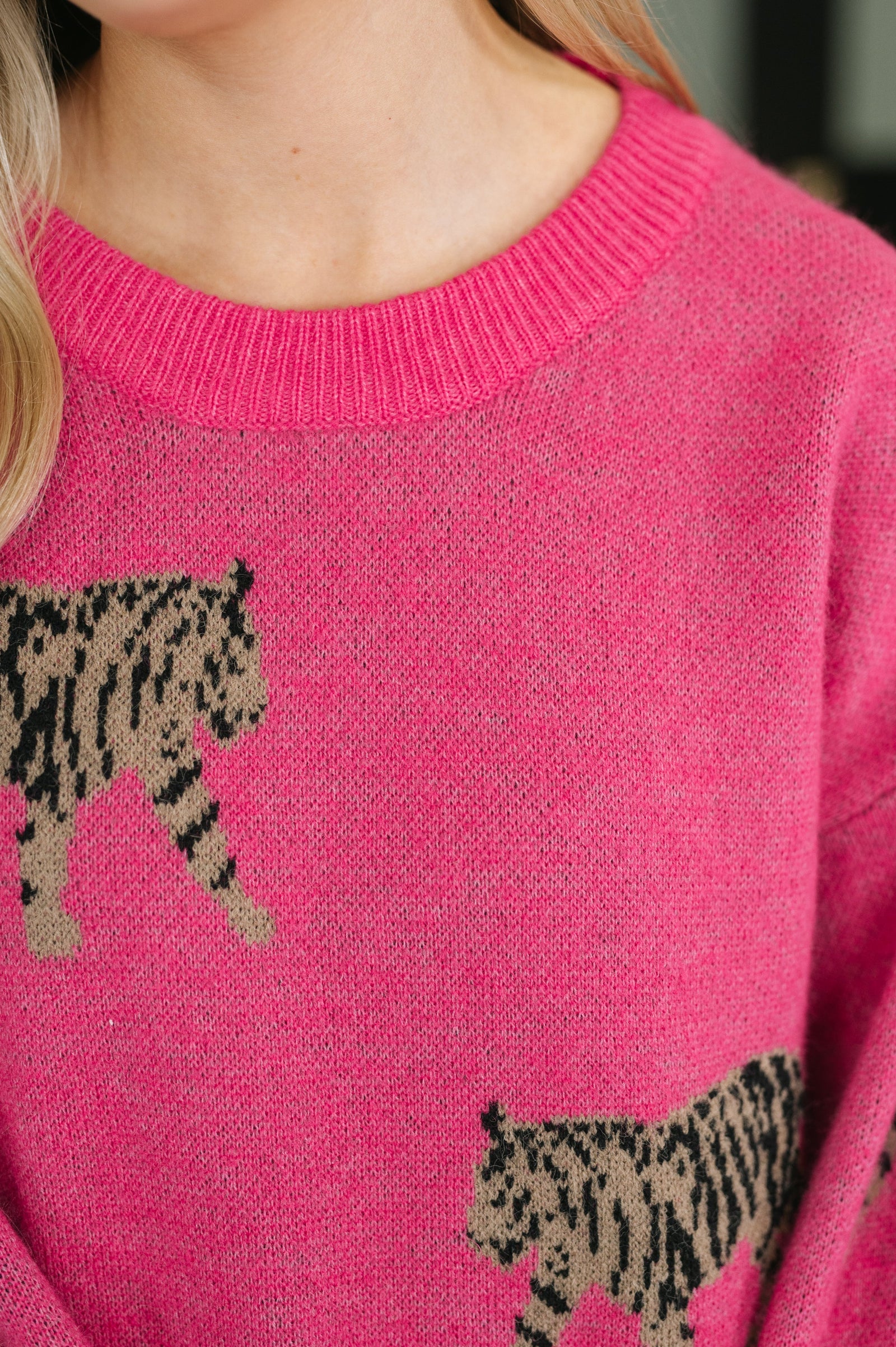 Pretty and Prowling Graphic Pullover in Pink