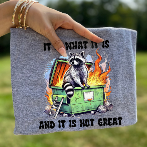 It Is What It Is It's Not Great Raccoon Tee OR Crewneck Sweatshirt - Preorder