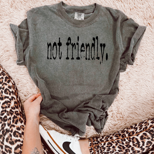 Not Friendly Tee - Preorder